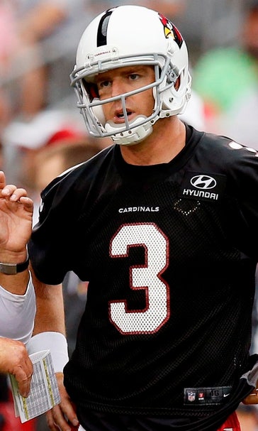 Palmer has passion for preseason pain